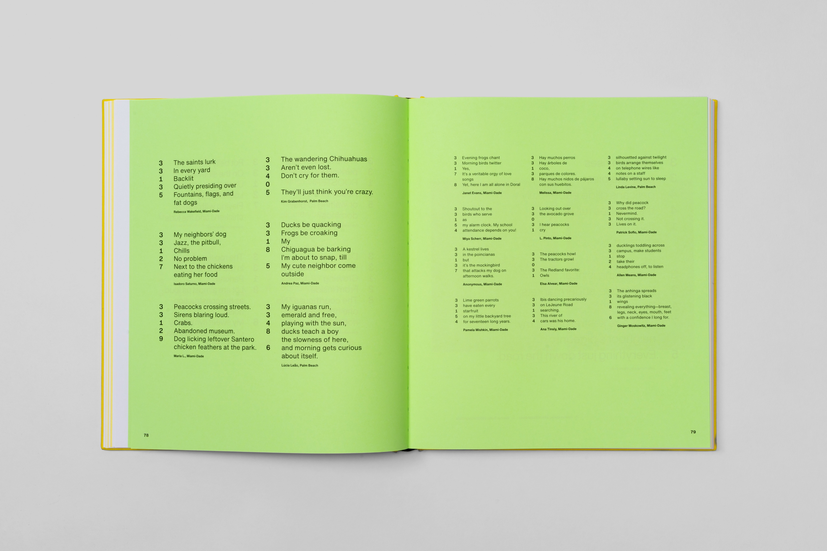 Topos O Miami L Iterally Cropped Int 0007 Topos O Miami LEI 06210