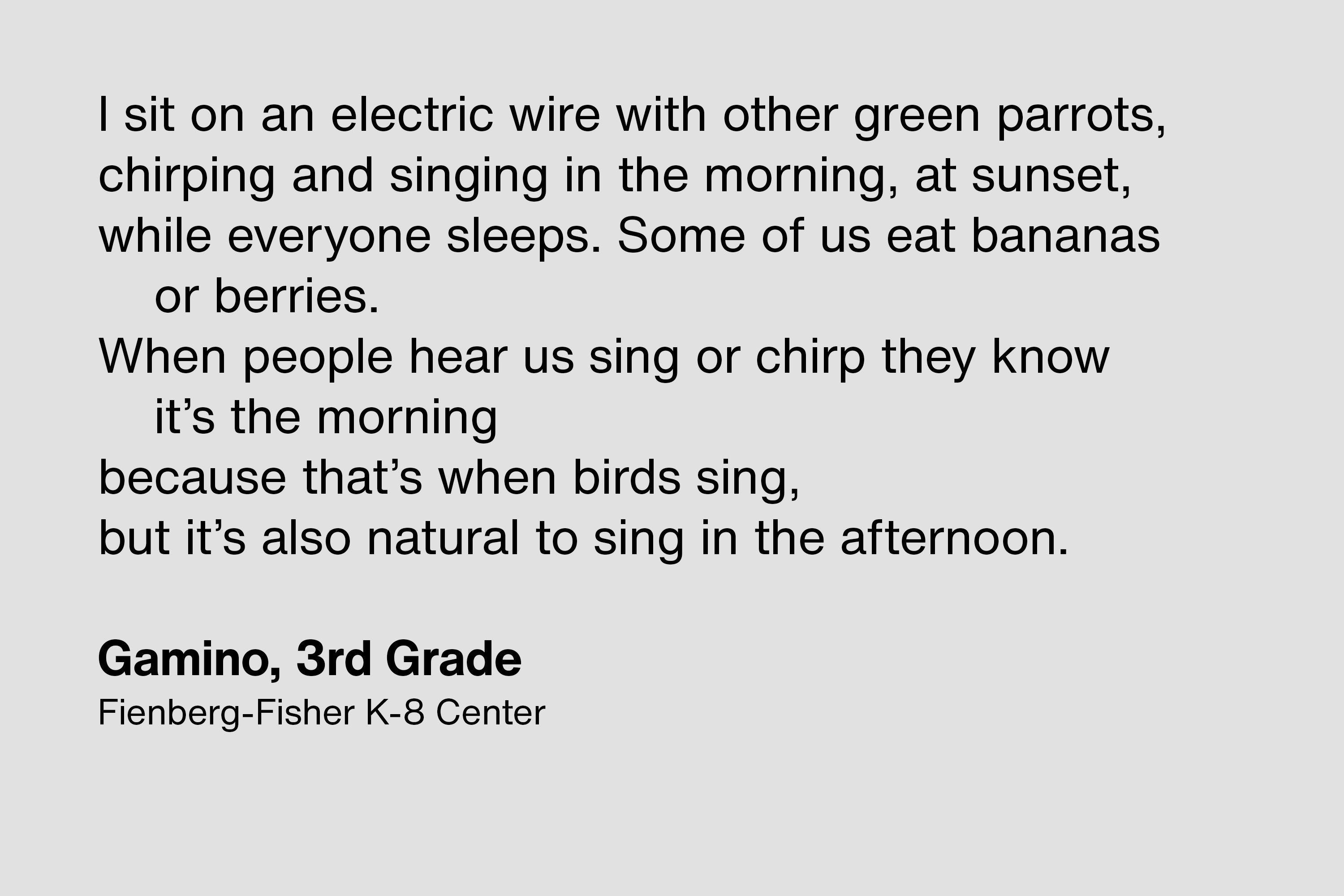 Topos O Miami Ed Chapbook Quote 1